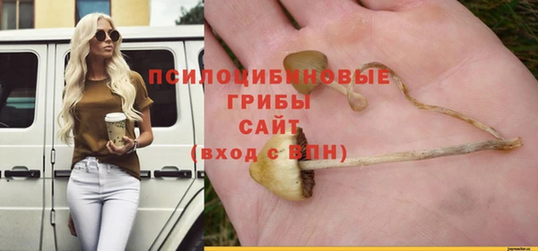 ECSTASY Баксан