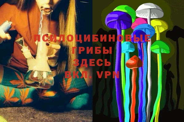 ECSTASY Балахна